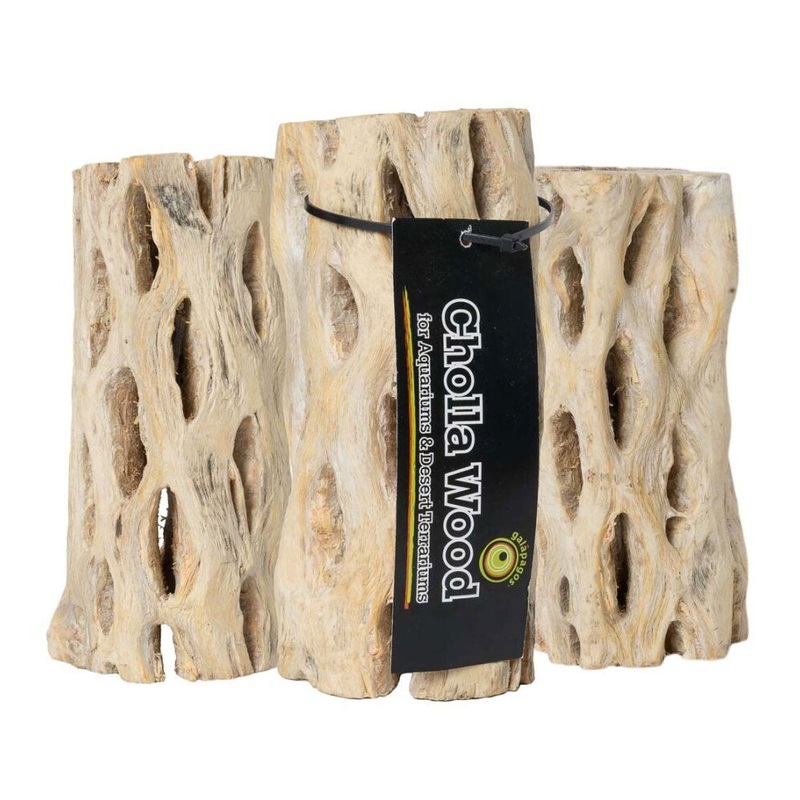 Cholla Natural Wood Branches