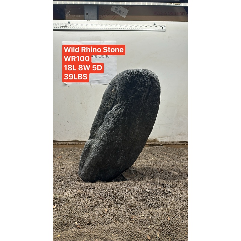 Wild Rhino Stone Showpiece WR100