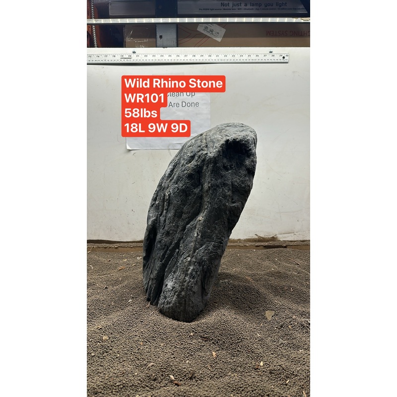 Wild Rhino Stone Showpiece WR101
